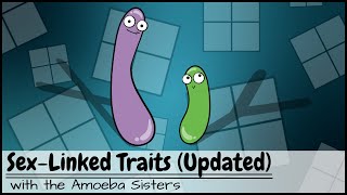 Punnett Squares and SexLinked Traits UPDATED [upl. by Aihsilat]