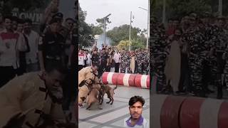 Army dogs training army armydog indianarmy dog [upl. by Landing]