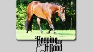 Keeping It Good  AQHA Stallion [upl. by Averil]