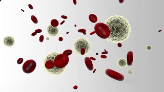 How to Isolate Nucleated Cells from Whole Blood Using HetaSep™ Erythrocyte Aggregation Agent [upl. by Areip]