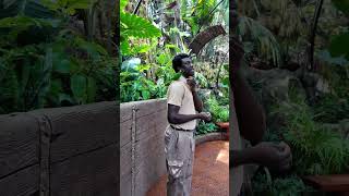 Tribute to Zookeepers  Edinho Kongo Loros [upl. by Amathist235]