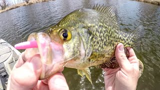 Ice Out Fishing For Spring Crappies [upl. by Atsyrt593]