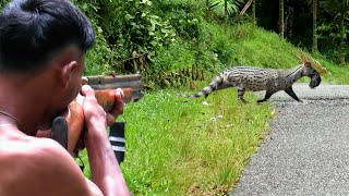 BERBURU😲MUSANG amp TUPAI LIAR SIANG dan MALAM DI MUSIM BUAH DURIAN [upl. by Ruffin633]