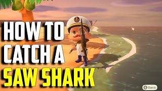 How to Catch a Saw Shark  Saw Shark ACNH  Saw Shark Animal Crossing New Horizons  ACNH Saw Shark [upl. by Fenner]