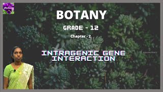 Grade  XII  Botany  Intragenic Gene Interaction  Bethlahem Matriculation School [upl. by Annahsit190]