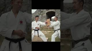 shorts Uechiryu Karate  Sanchin breaking strikes [upl. by Kayley447]