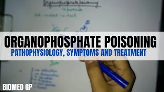 Organophosphates Pathophysiology symptoms and treatment BioMed GP [upl. by Jacobsen974]