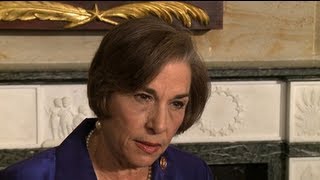 Rep Jan Schakowsky Time for Sensible Gun Regulation [upl. by Drusy]