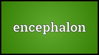 Encephalon Meaning [upl. by Chem]