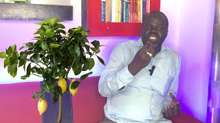 Ndiarignou Garabou Limon  Les vertus du Citronnier  Pr Ousmane Ndiaye  SAMA XALAAT TV [upl. by Roshelle]