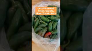 LactoFermented Green Jalapeño Green Tomato Salsa shorts recipe [upl. by Lev632]