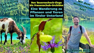 ⛰️🌞 Natur Dokumentation Tiroler Unterland mit Schwoich Bad Häring Scheffau und Hintersteiner See [upl. by Annairb]