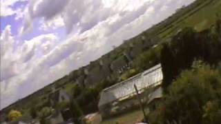 Racing pigeons flight video [upl. by Sven]