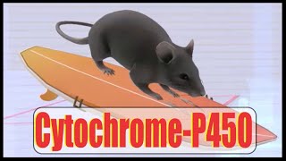 Cytochrome P450 Inhibitors  Easy Mnemonic [upl. by Nahtnahoj]