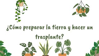 Trasplante y preparación de tierra para tus plantas 🍃 [upl. by Lebna166]