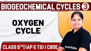 BIOGEOCHEMICAL CYCLES 03  Oxygen Cycle  Biology  Class 9th   TS [upl. by Aiotal]