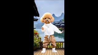 Lovely adorable pet dogs dance challenge small potatoes dancing puppies adorable to explode💥 L [upl. by Alleahcim]