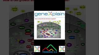 How Cancer Cells Defy Control Cell Growth amp Division  World Cancer Research Day genesequencing [upl. by Loma566]