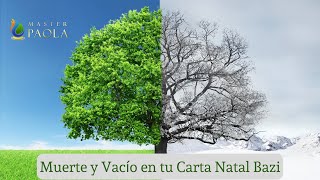 Muerte y Vacío en tu Carta Natal Bazi [upl. by Leirvag158]