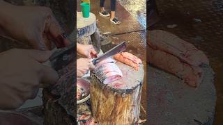 Amazing Hilsa Fish Cutting Skills In Bangladesh Local Fish Market shorts [upl. by Bertelli]