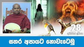 සතර අපායට නො වැටෙමු  Shraddha TV [upl. by Zelikow]