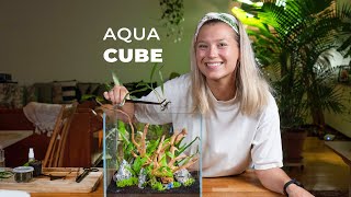 AQUA CUBE  Guide to making an Incredible Aquascape [upl. by Pollyanna448]