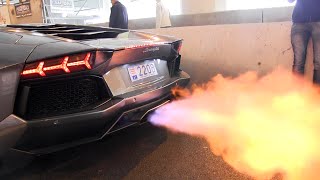 The BEST LAMBORGHINI AVENTADOR Engine SOUNDS Ever [upl. by Cela]