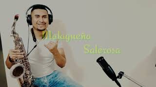 Malagueña salerosa  Pablo Ruiz  sax alto 🎷 [upl. by Katusha6]