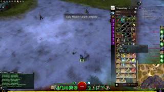 GW2 Opening 24 Fractal Encryptions  12G profit [upl. by Lotti148]