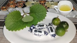 Mabisang Gamot sa Ubo at Sipon Home Remedy for Cough and Stuffy Nose [upl. by Nylaras871]