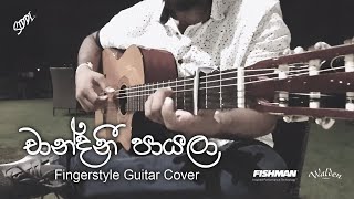 Siddi  Chandani Payala චාන්දනී පායලා  BnS  Fingerstyle Guitar Cover [upl. by Leiso]