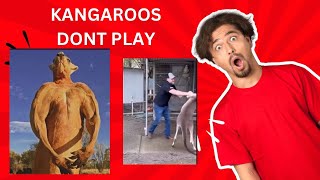 What would you do foryou shorts kangaroo fypyoutube [upl. by Ellah567]