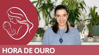 O que é imprinting no momento do parto e a importância da hora de ouro contato pele a pele imediato [upl. by Myrna]