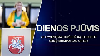 Ar gyventojai turės už ką balsuoti Seimo rinkimai jau artėja  DIENOS PJŪVIS [upl. by Ines]