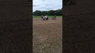 Hurstpierpoint ploughing match shorts [upl. by Nepsa782]