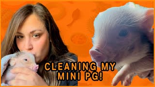 Clean My Pet Pig With Me 🐷  PAWSOME PETS [upl. by Luiza]