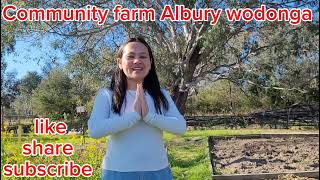 Community farm in Albury wodonga Garden lover ♥️ [upl. by Anahpets]