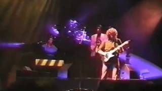 50 fps Planet of New Orleans — Dire Straits — 1991SEP30 — LIVE in Rotterdam [upl. by Eseilanna]