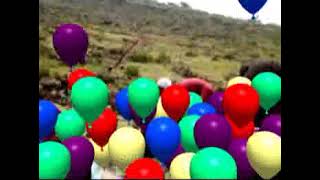 2017 ዓ ም የልማት ስራዎች የተሰራ ፕሮግራም [upl. by Esnofla]