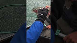 Fishing the Kenai River in Alaska [upl. by Todhunter579]