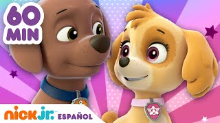 PAW Patrol  ¡Los rescates más valientes de Skye y Zuma durante 1 hora  Nick Jr en Español [upl. by Sitoel289]