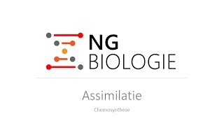 Assimilatie  chemosynthese  HAVOVWO [upl. by Yelrah]