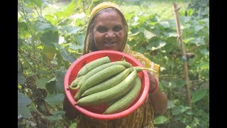 Village food Luffa gourd recipe prepared by grandmother  Vegetable fry recipe [upl. by Cherice723]