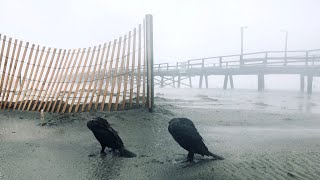 Hurricane Florence slams Morehead City and Atlantic Beach [upl. by Mcwherter64]