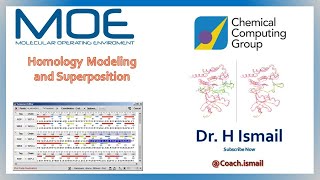 How to Perform Protein Homology using MOE  Protein Alignment  Result Analysis  Dr H Ismail [upl. by Callas728]