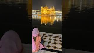 Darbar Sahib punjabi punjab darbarsahib waheguru gurbani ytshorts [upl. by Neffirg115]