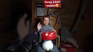 Гриботерапия😆😆😆 handpan hangdrum music мухомор грибы ханг хангдрам drummer percussion top [upl. by Adnowal]