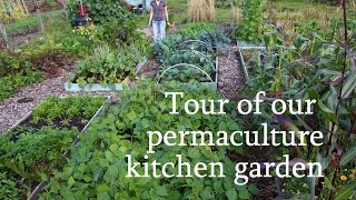 Tour of our permaculture kitchen garden [upl. by Etezzil]