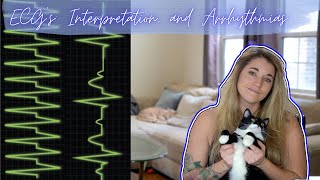 Vet Med ECG Interpretation and Arrhythmias [upl. by Hedveh]