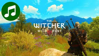 Meditate Like A WITCHER 🎵 Relaxing Music SLEEP  STUDY  FOCUS [upl. by Hgiel764]